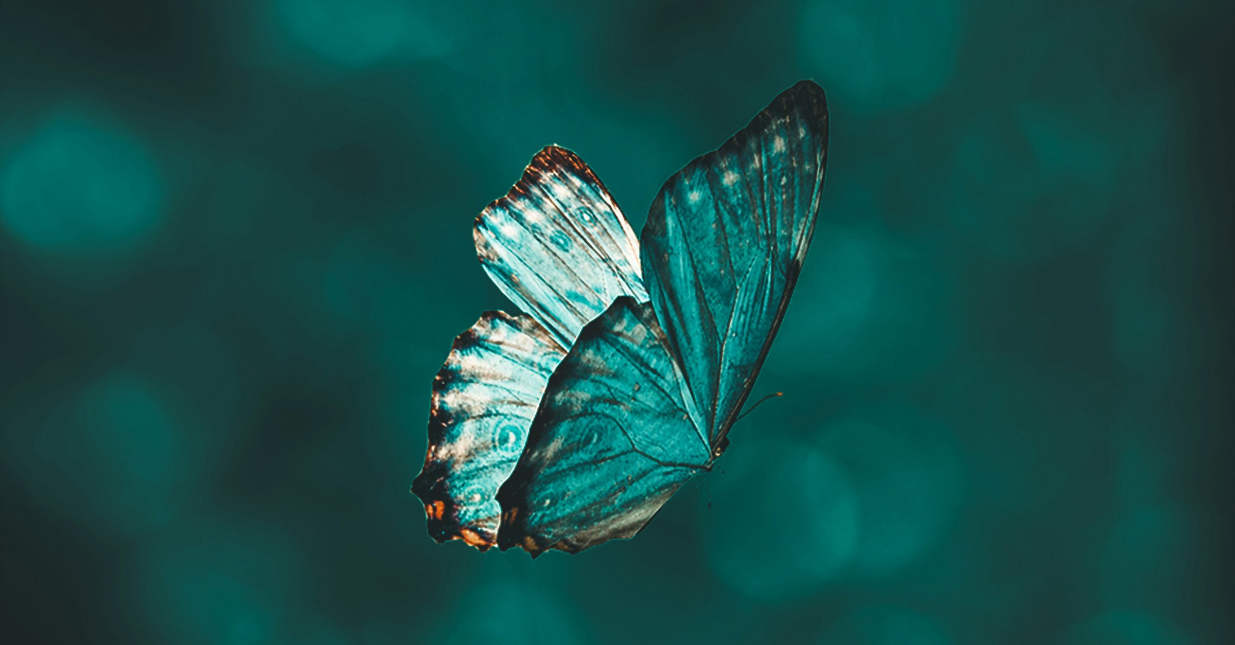 Transformation braucht mehr als KI-Tools